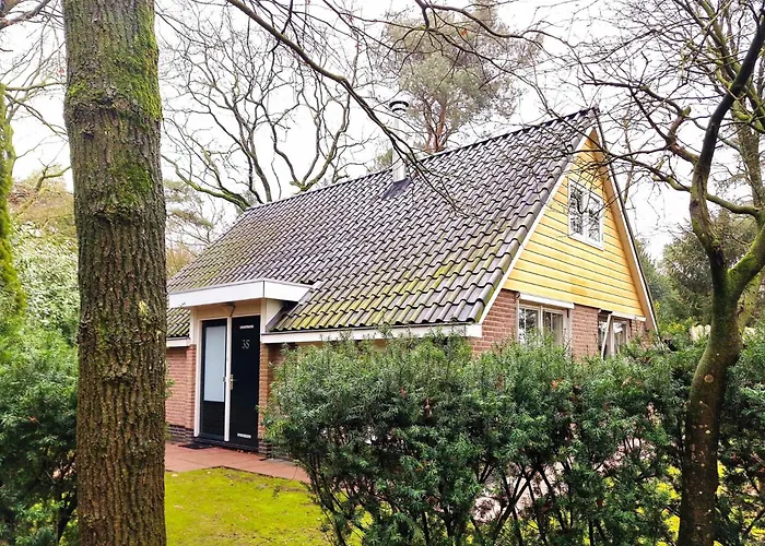Forest Retreat: Private House